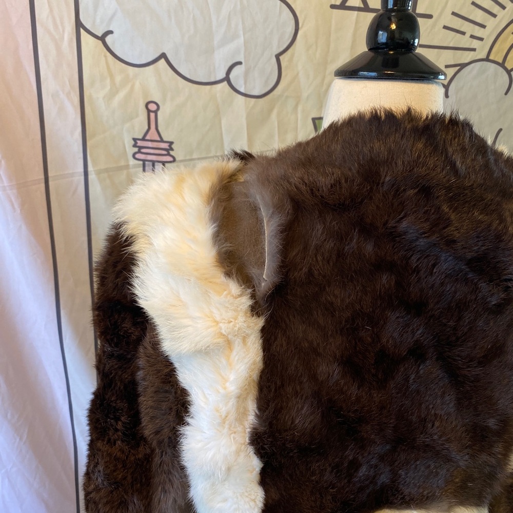 Gorgeous Vintage Rabbit Jacket - Picture 4 of 13